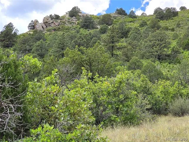 6179 County Road 84 Florence, CO 81226
