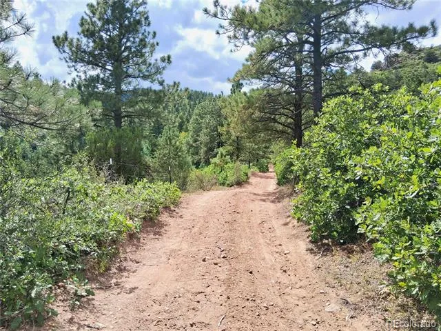 6179 County Road 84 Florence, CO 81226