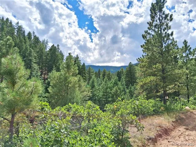 6179 County Road 84 Florence, CO 81226