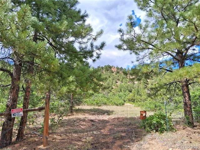 6179 County Road 84 Florence, CO 81226
