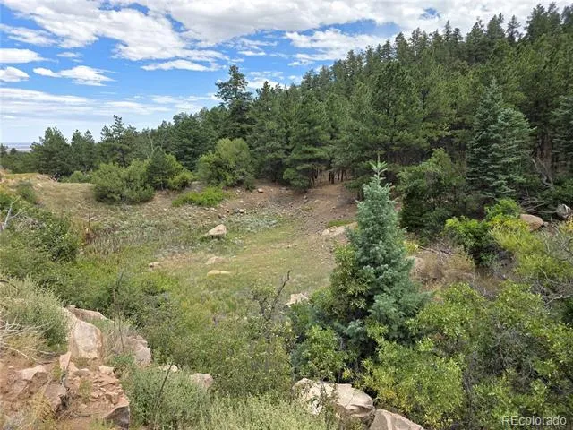 6179 County Road 84 Florence, CO 81226