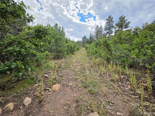 6179 County Road 84 Florence, CO 81226