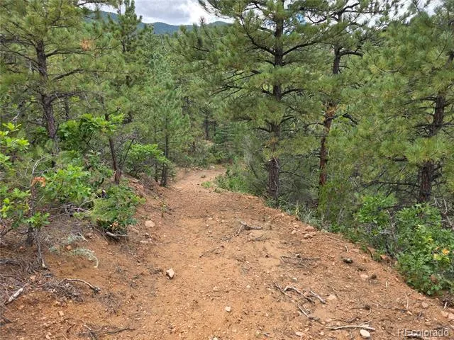 6179 County Road 84 Florence, CO 81226