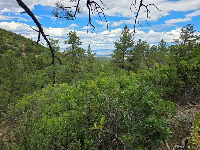 6179 County Road 84 Florence, CO 81226