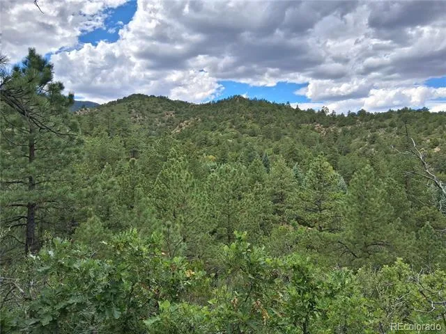 6179 County Road 84 Florence, CO 81226