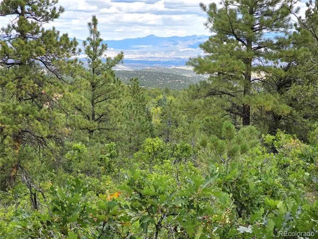 6179 County Road 84 Florence, CO 81226