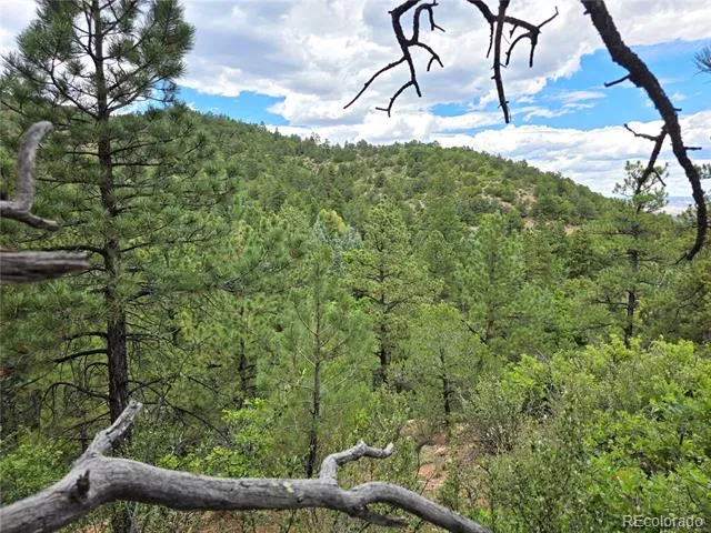 6179 County Road 84 Florence, CO 81226