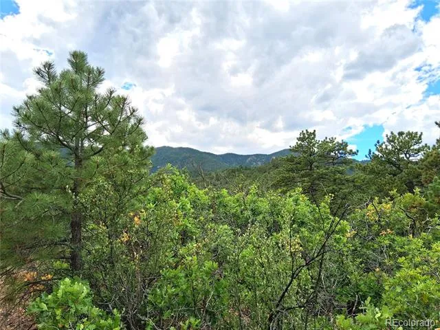 6179 County Road 84 Florence, CO 81226