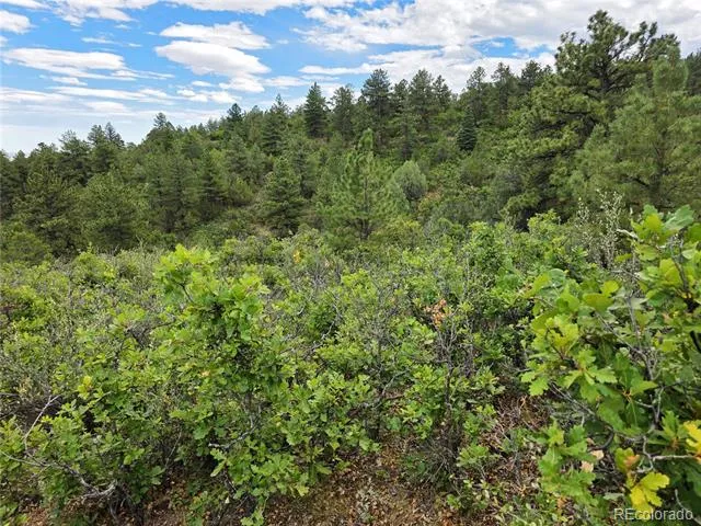 6179 County Road 84 Florence, CO 81226
