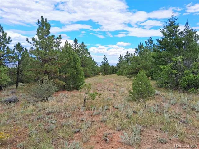 6179 County Road 84 Florence, CO 81226