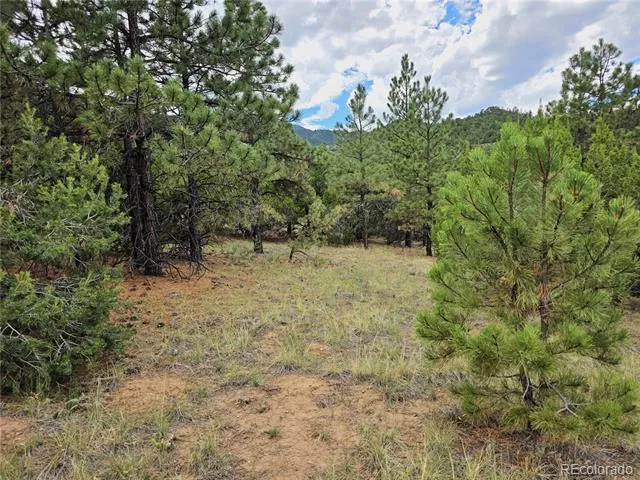 6179 County Road 84 Florence, CO 81226