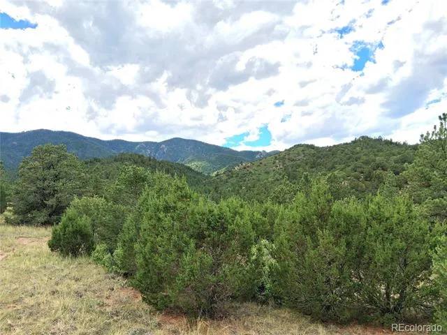6179 County Road 84 Florence, CO 81226