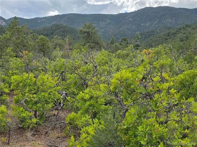 6179 County Road 84 Florence, CO 81226