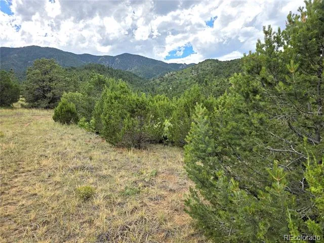 6179 County Road 84 Florence, CO 81226