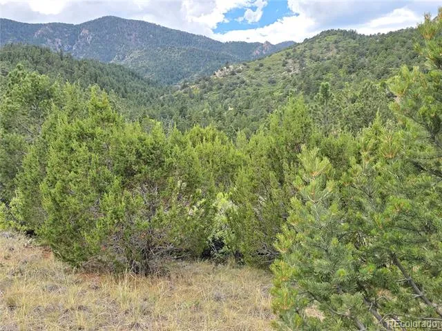 6179 County Road 84 Florence, CO 81226