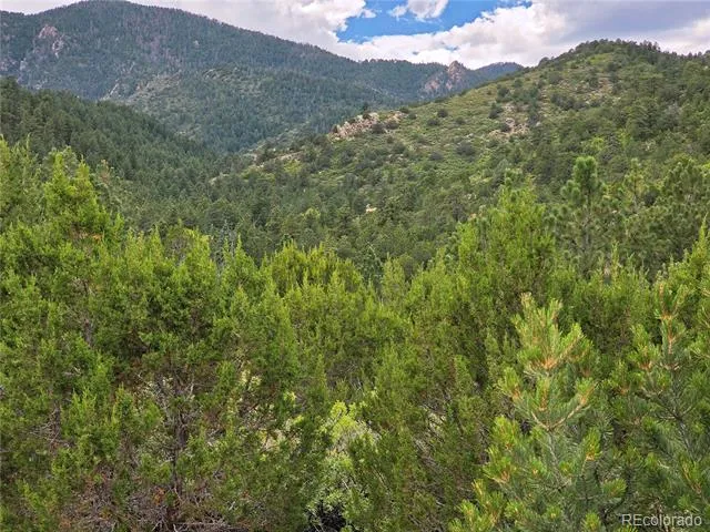 6179 County Road 84 Florence, CO 81226