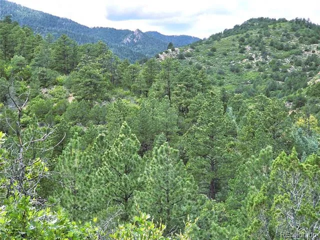 6179 County Road 84 Florence, CO 81226