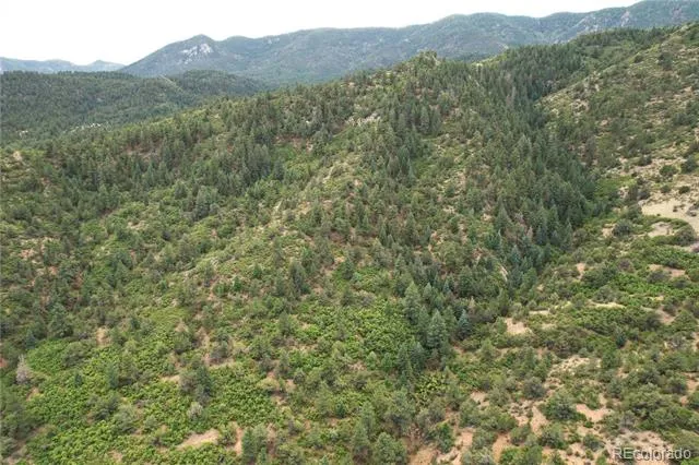 6179 County Road 84 Florence, CO 81226