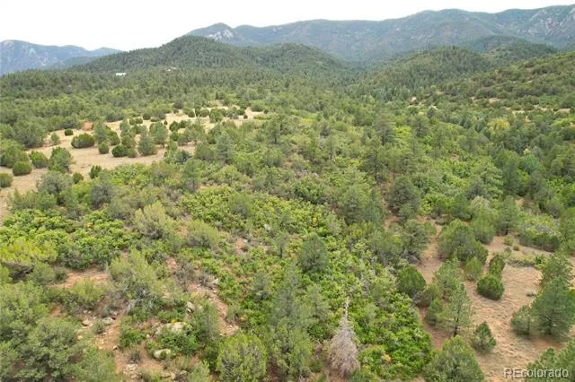6179 County Road 84 Florence, CO 81226