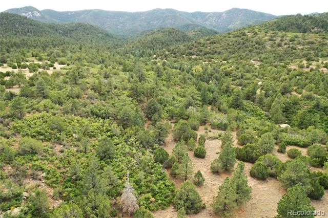 6179 County Road 84 Florence, CO 81226