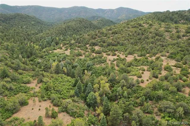 6179 County Road 84 Florence, CO 81226