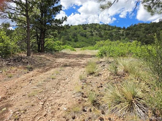 6179 County Road 84 Florence, CO 81226