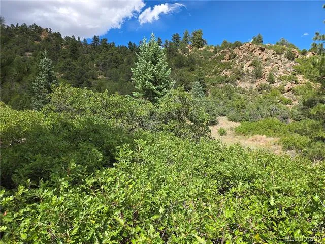 6179 County Road 84 Florence, CO 81226