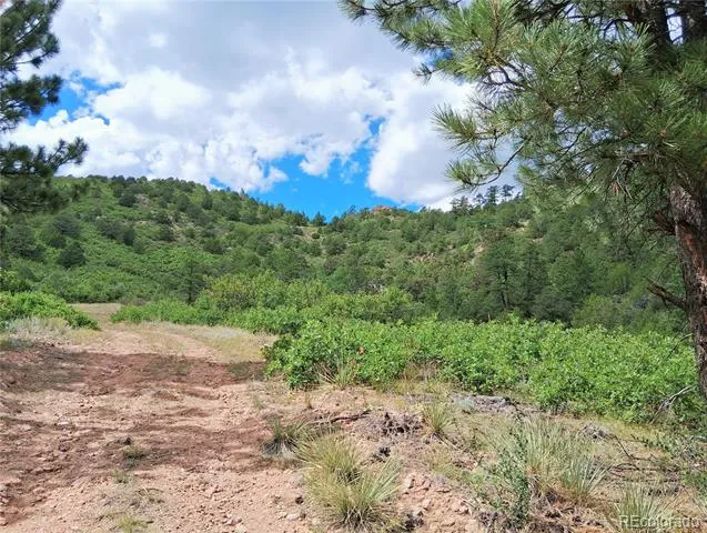 6179 County Road 84 Florence, CO 81226