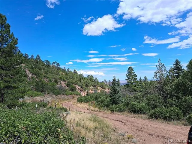 6179 County Road 84 Florence, CO 81226