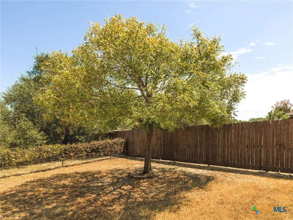 3375 Upton Drive Kempner, TX 76539