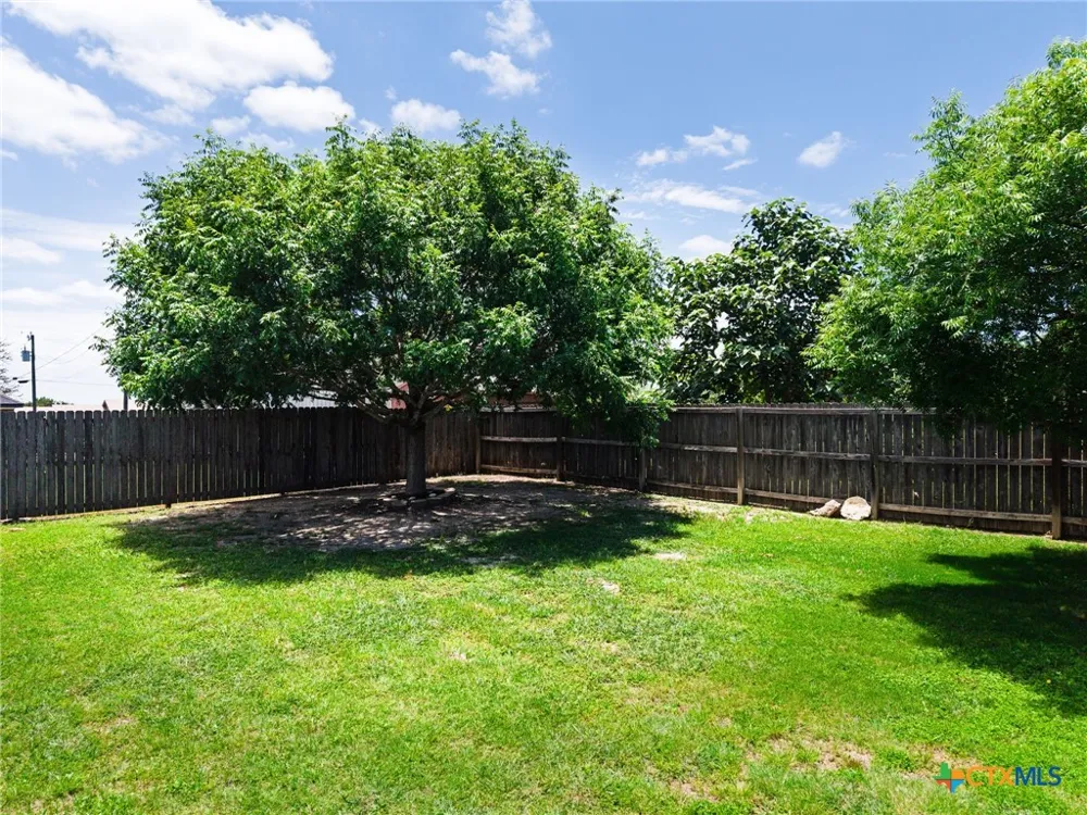 3375 Upton Drive Kempner, TX 76539