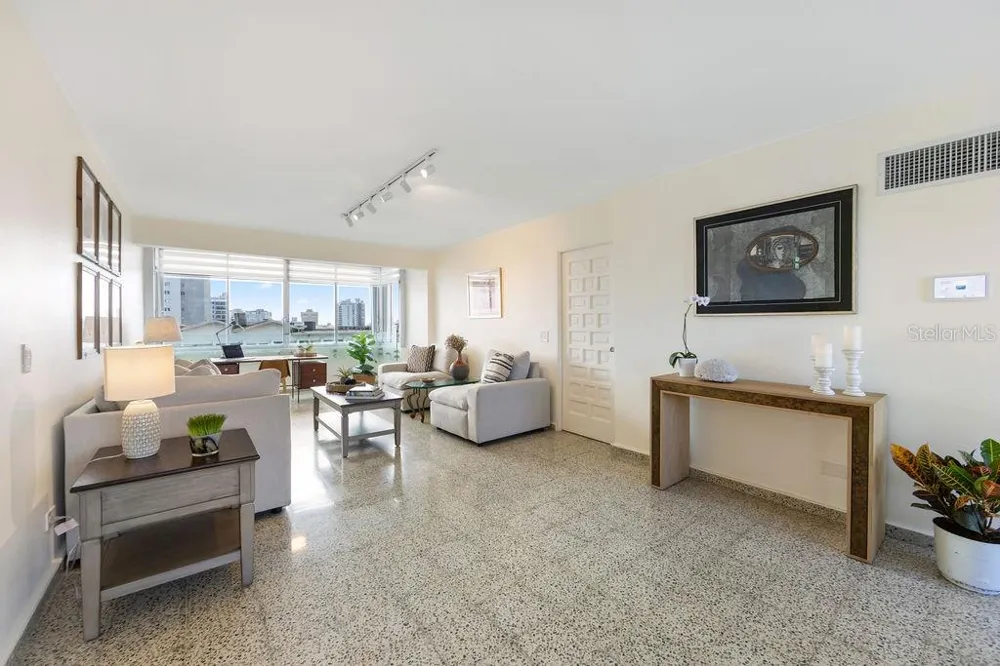 Condado Tower 30 WASHINGTON #14-S San Juan, PR 00907