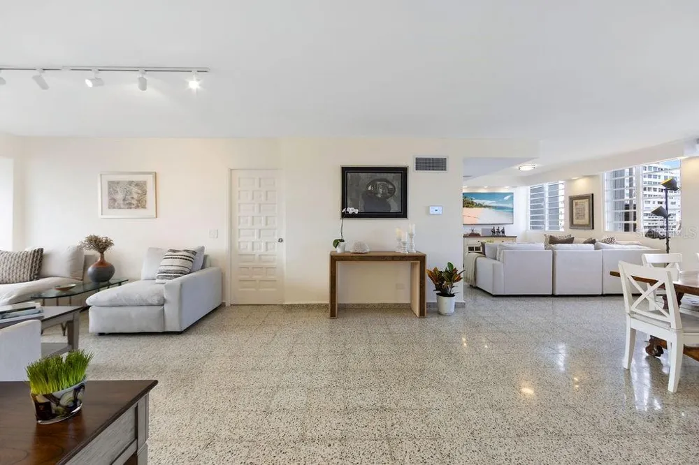 Condado Tower 30 WASHINGTON #14-S San Juan, PR 00907