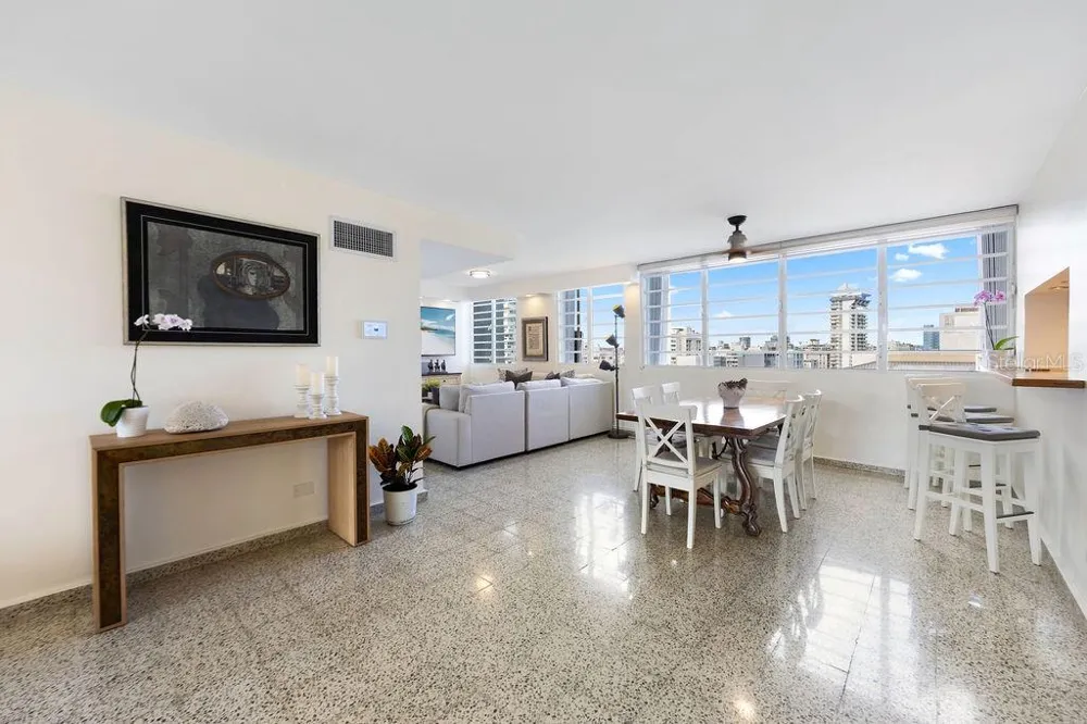 Condado Tower 30 WASHINGTON #14-S San Juan, PR 00907