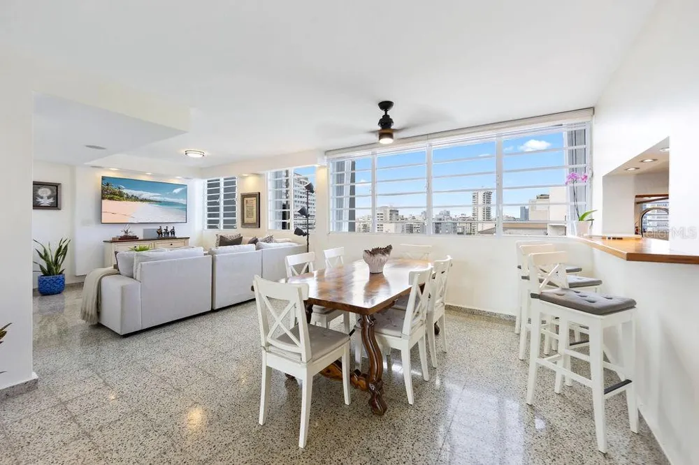 Condado Tower 30 WASHINGTON #14-S San Juan, PR 00907
