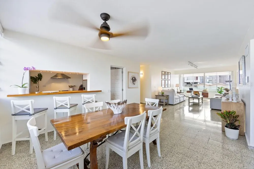 Condado Tower 30 WASHINGTON #14-S San Juan, PR 00907
