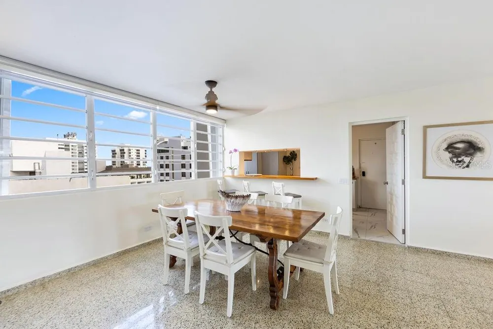 Condado Tower 30 WASHINGTON #14-S San Juan, PR 00907