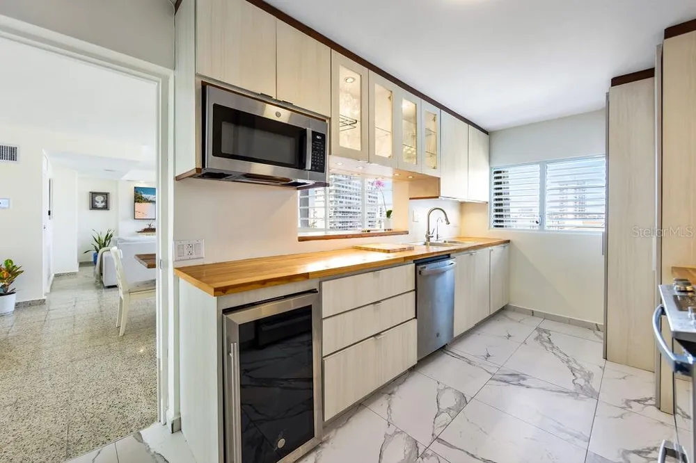 Condado Tower 30 WASHINGTON #14-S San Juan, PR 00907