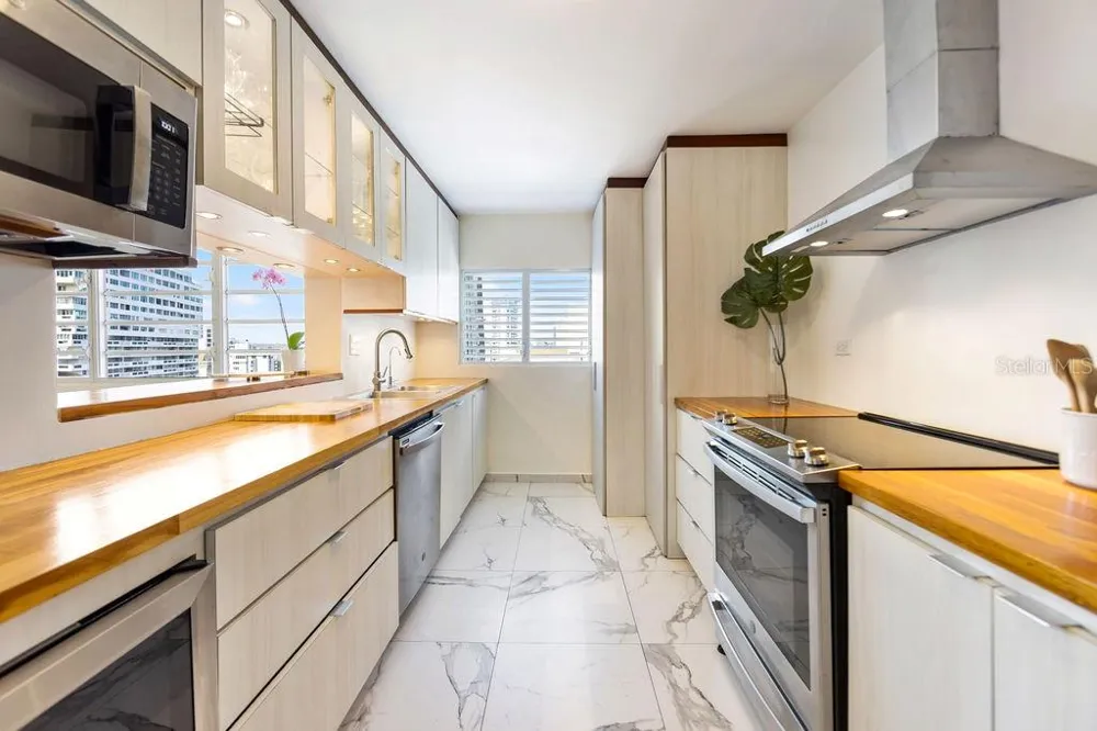 Condado Tower 30 WASHINGTON #14-S San Juan, PR 00907