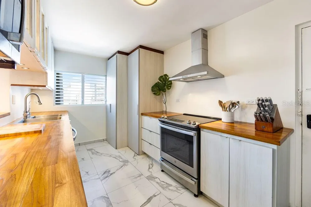 Condado Tower 30 WASHINGTON #14-S San Juan, PR 00907