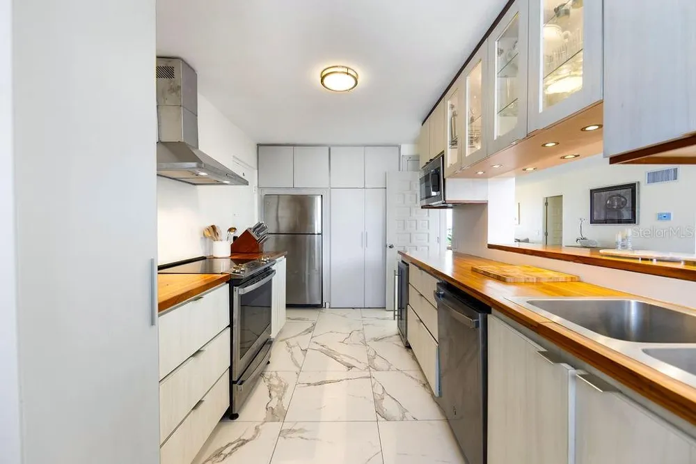 Condado Tower 30 WASHINGTON #14-S San Juan, PR 00907