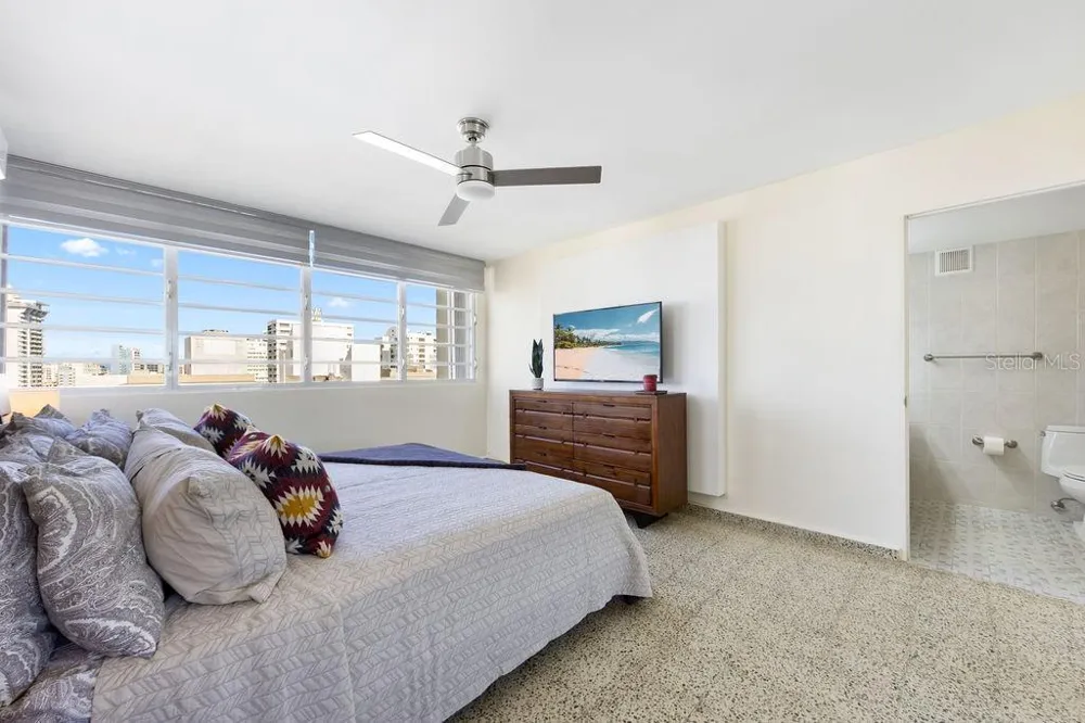 Condado Tower 30 WASHINGTON #14-S San Juan, PR 00907