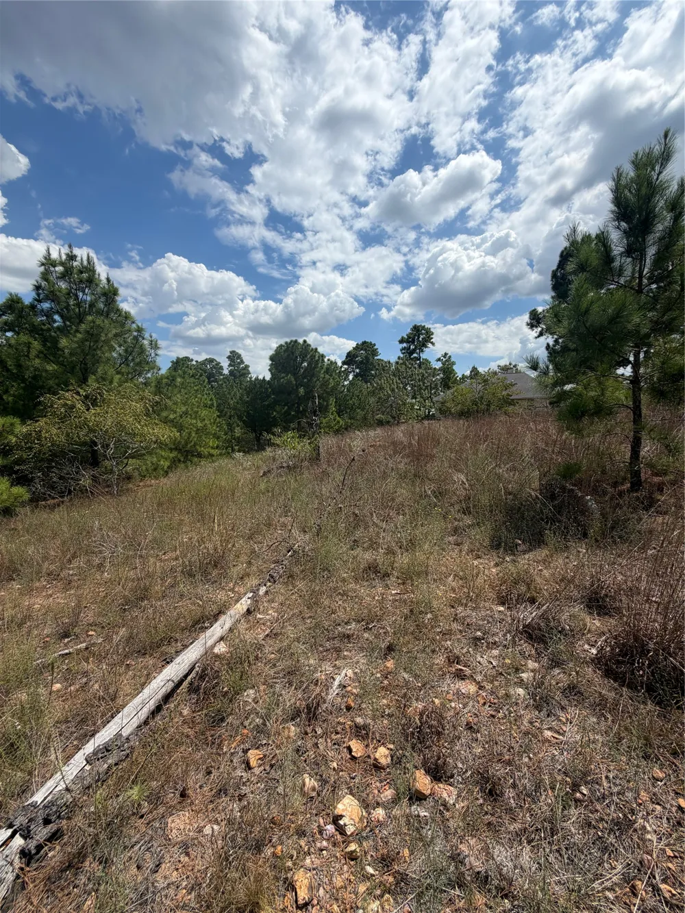 1189 Awehi Lane Bastrop, TX 78602