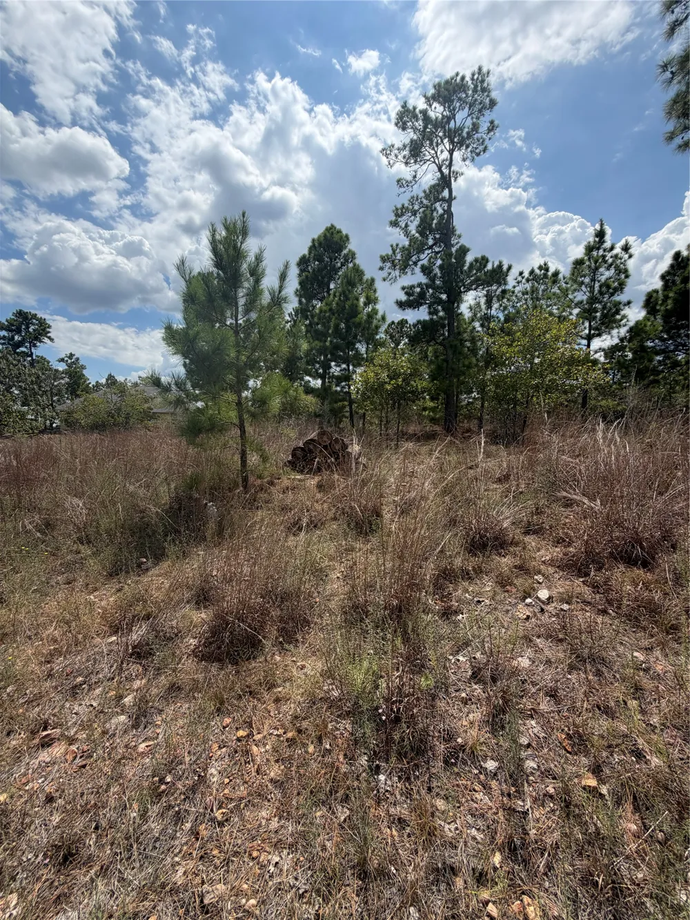 1189 Awehi Lane Bastrop, TX 78602