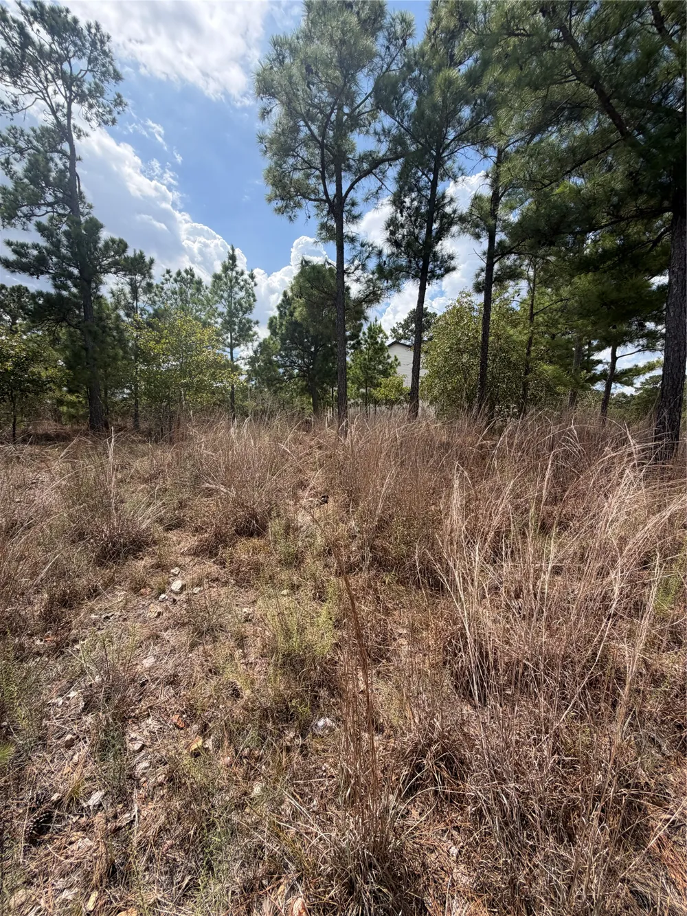 1189 Awehi Lane Bastrop, TX 78602