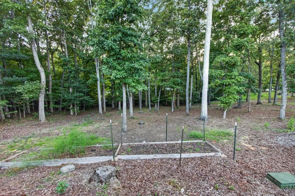 52 Ivy Ridge Court Blue Ridge, GA 30513
