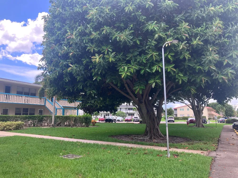 209 CAMDEN I West Palm Beach, FL 33417