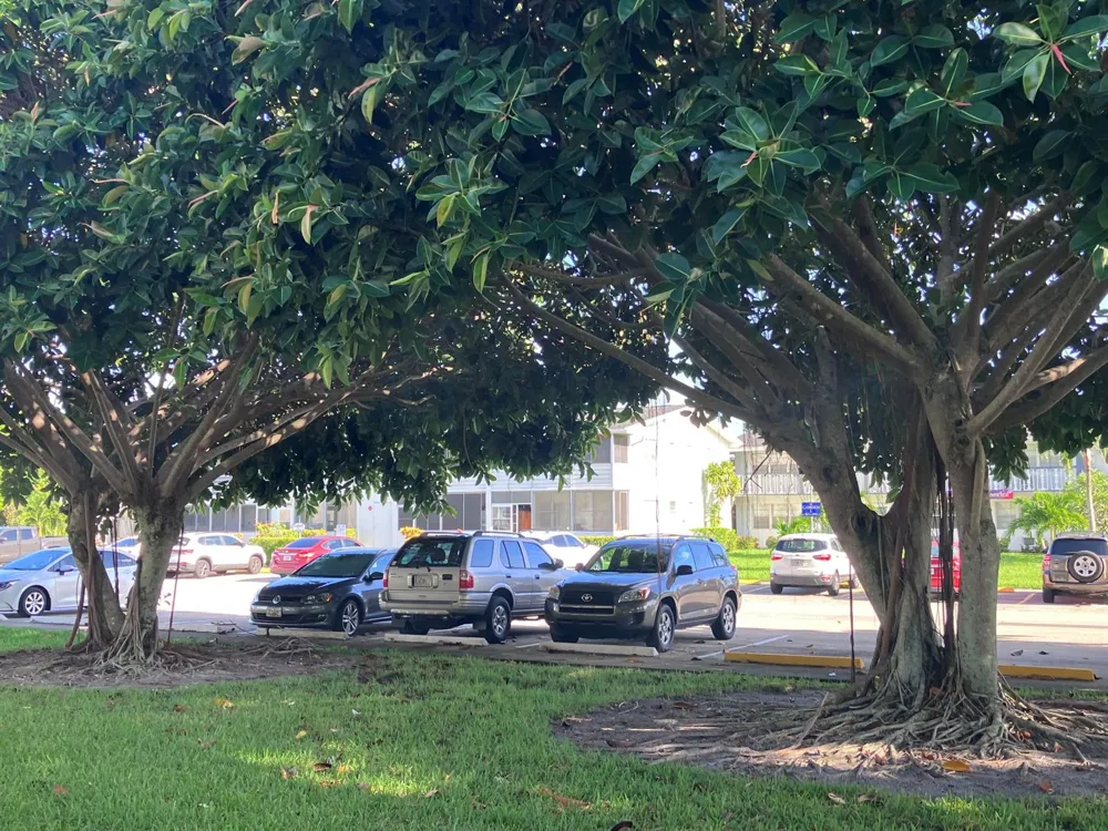 209 CAMDEN I West Palm Beach, FL 33417