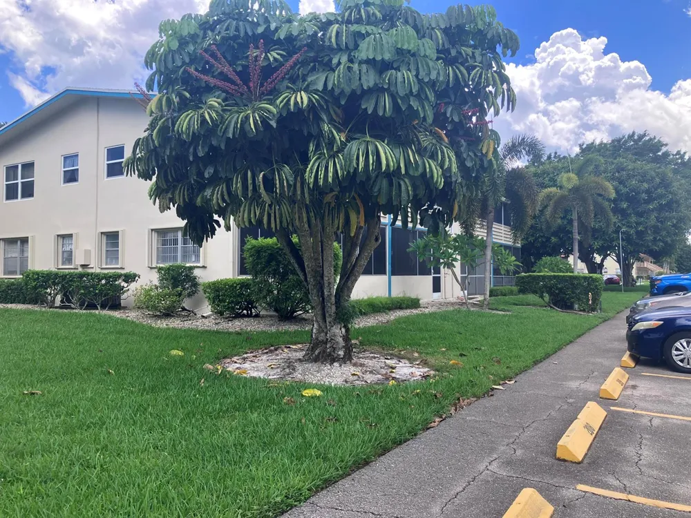 209 CAMDEN I West Palm Beach, FL 33417