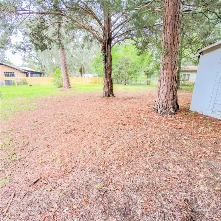 203 Springfield Avenue Guyton, GA 31312